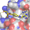 Protein-ligand docking
